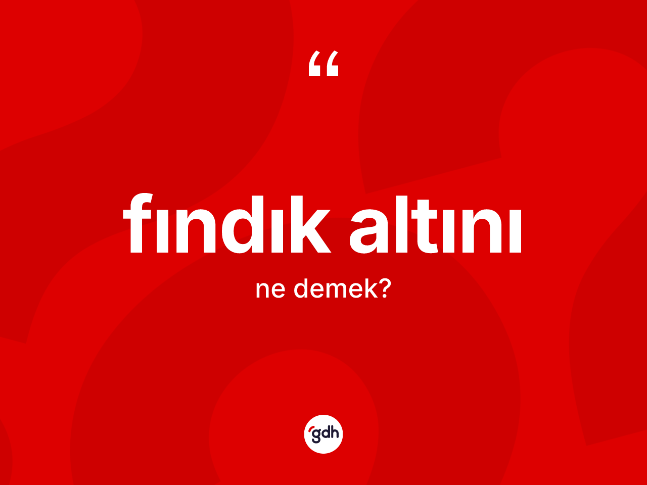 Fındık altını kelimesinin sözlükteki tanımı nedir? Fındık altını kelimesinin TDK anlamı nedir?