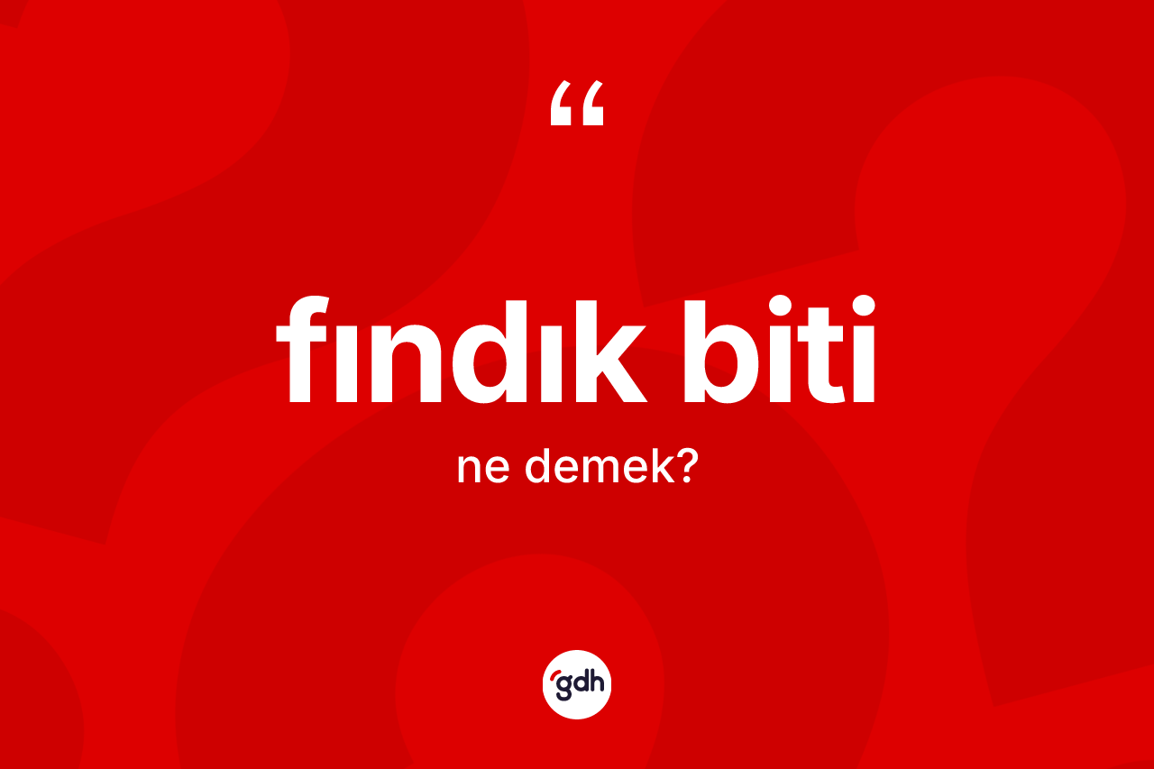 Fındık biti kelimesinin tanımı nedir? Fındık bitinin TDK'ya göre anlamı nedir?