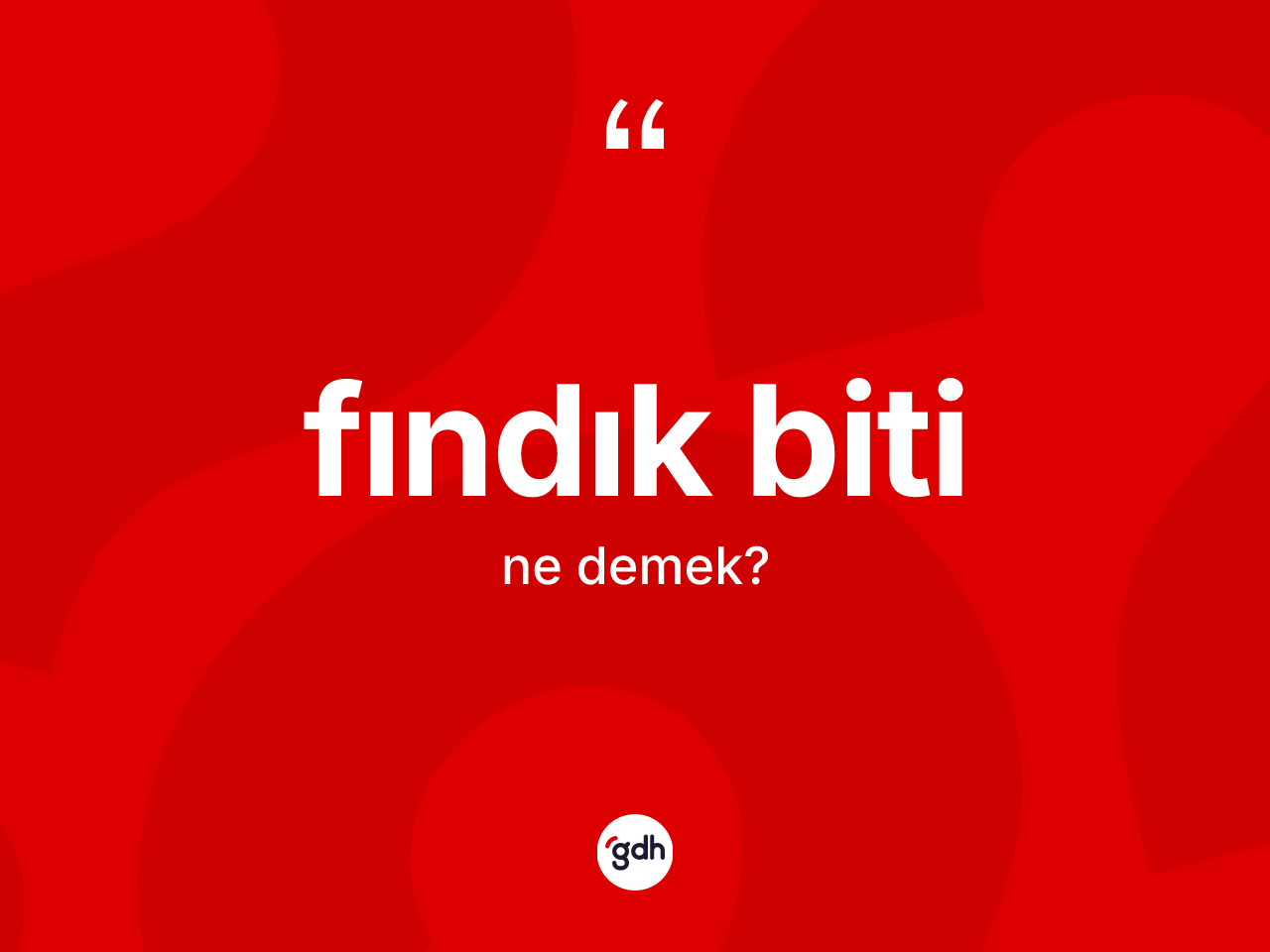 Fındık biti kelimesinin tanımı nedir? Fındık bitinin TDK'ya göre anlamı nedir?