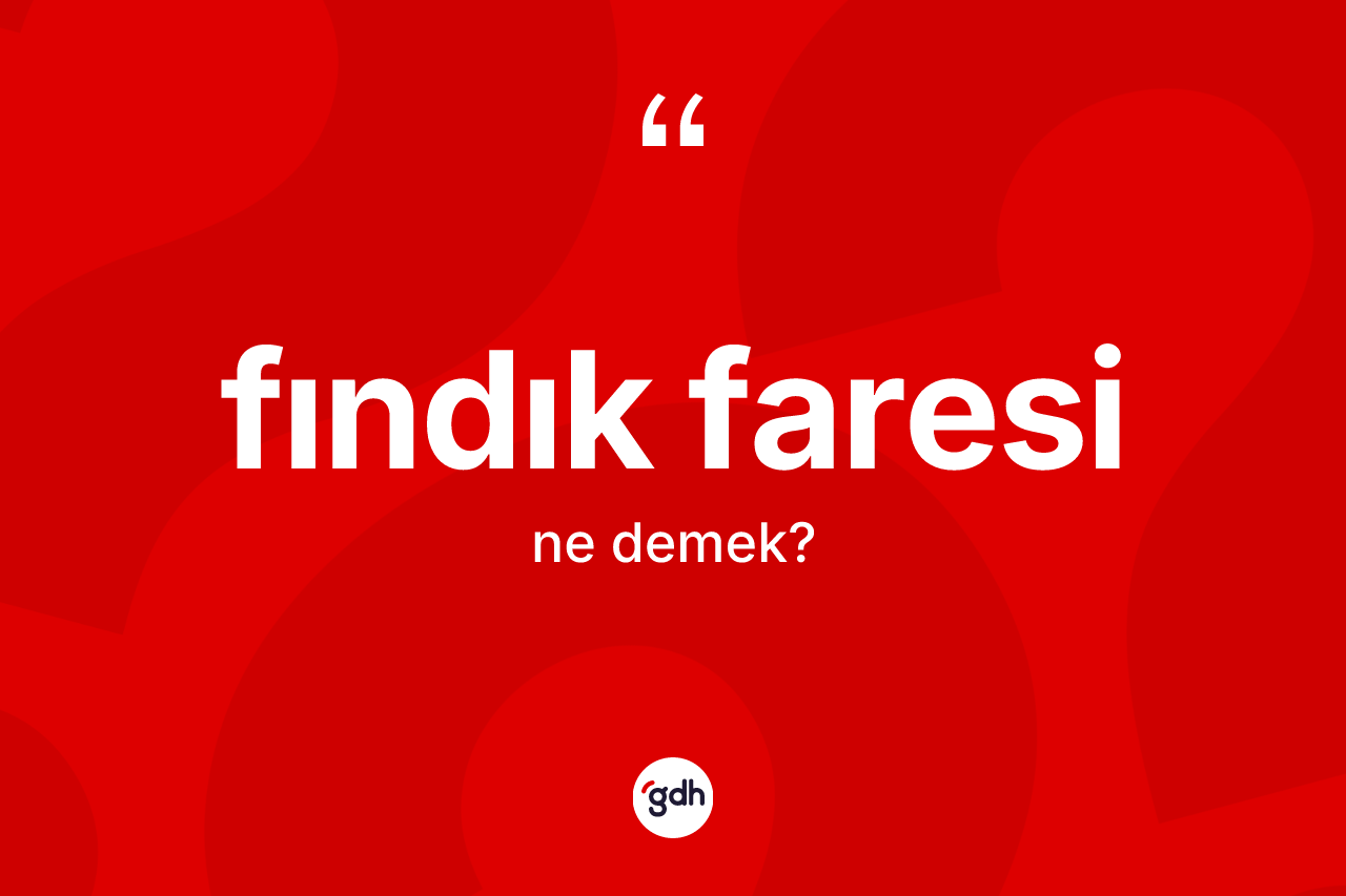 Fındık faresi ne demek?