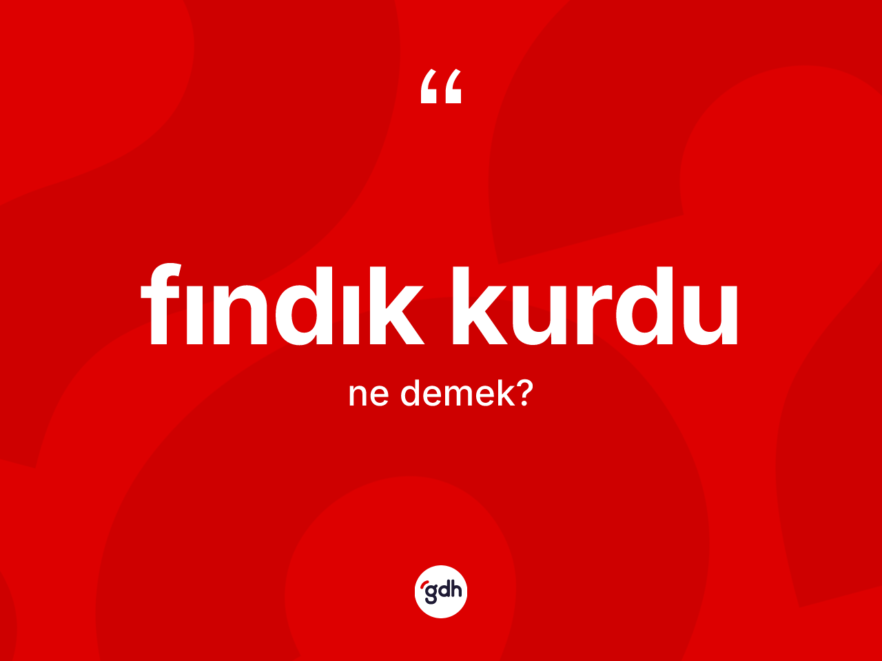 Fındık kurdu ne demek? Fındık kurdunun TDK'ya göre anlamı nedir?
