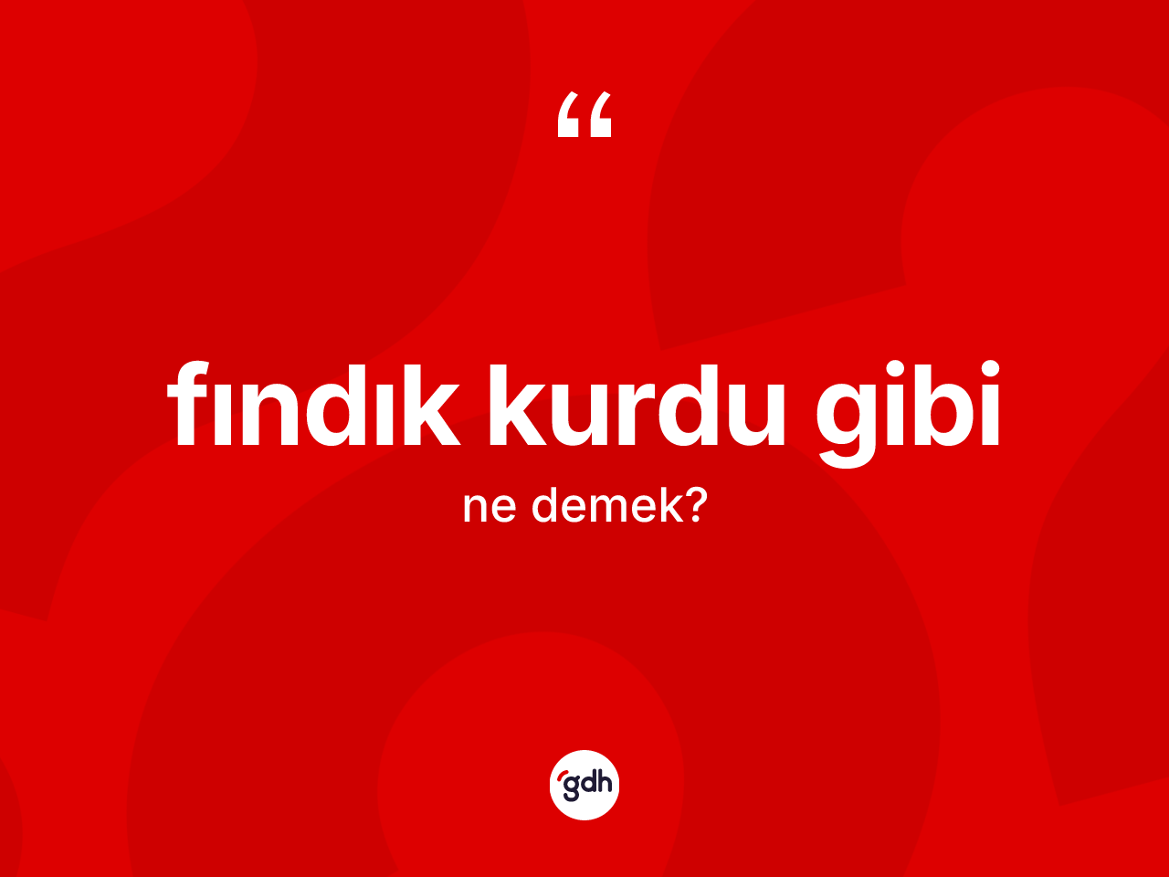 Fındık kurdu gibi ne demek? Fındık kurdu gibi sözü nerede kullanılır?