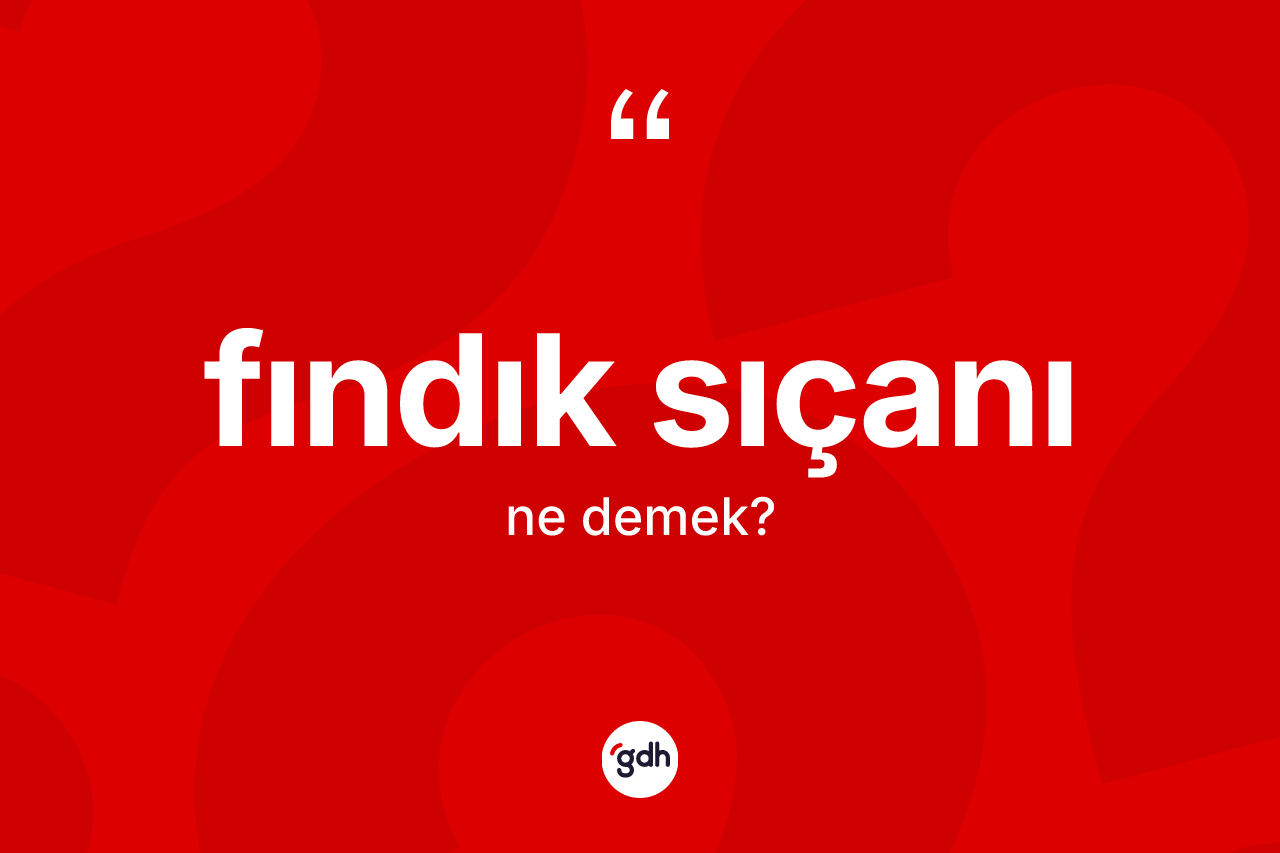 Fındık sıçanı kelimesi ne anlama gelir?
