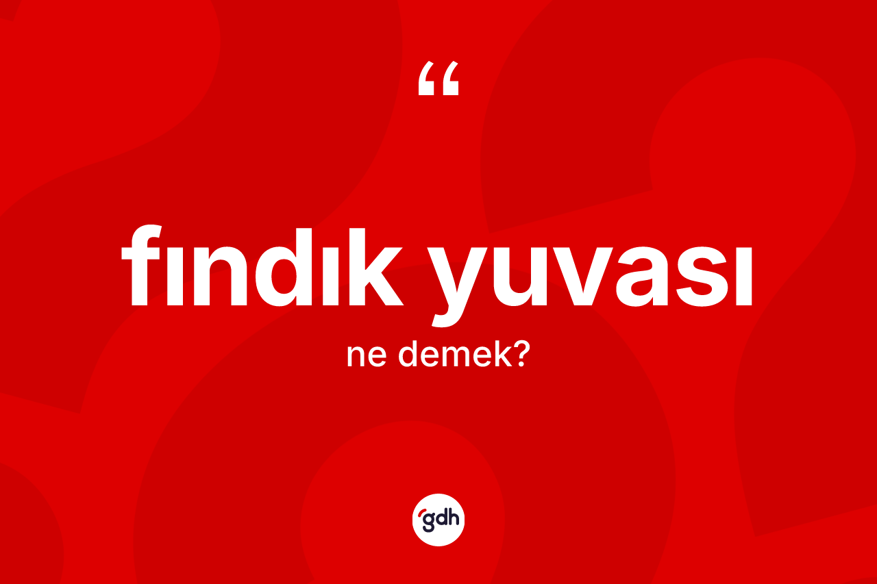 Fındık yuvası ne demek?