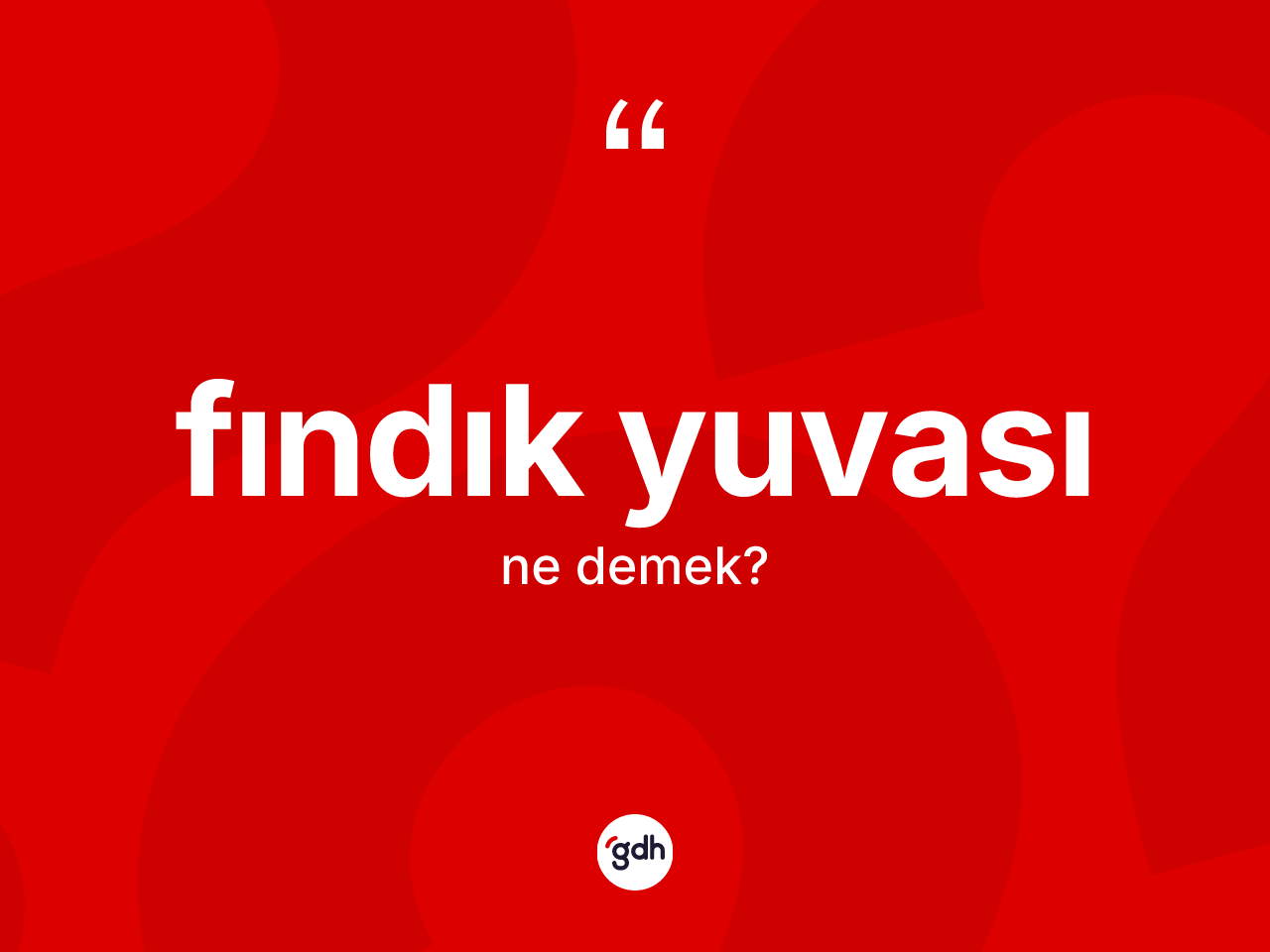 Fındık yuvası ne demek? Fındık yuvasının kısaca tanımı nedir?