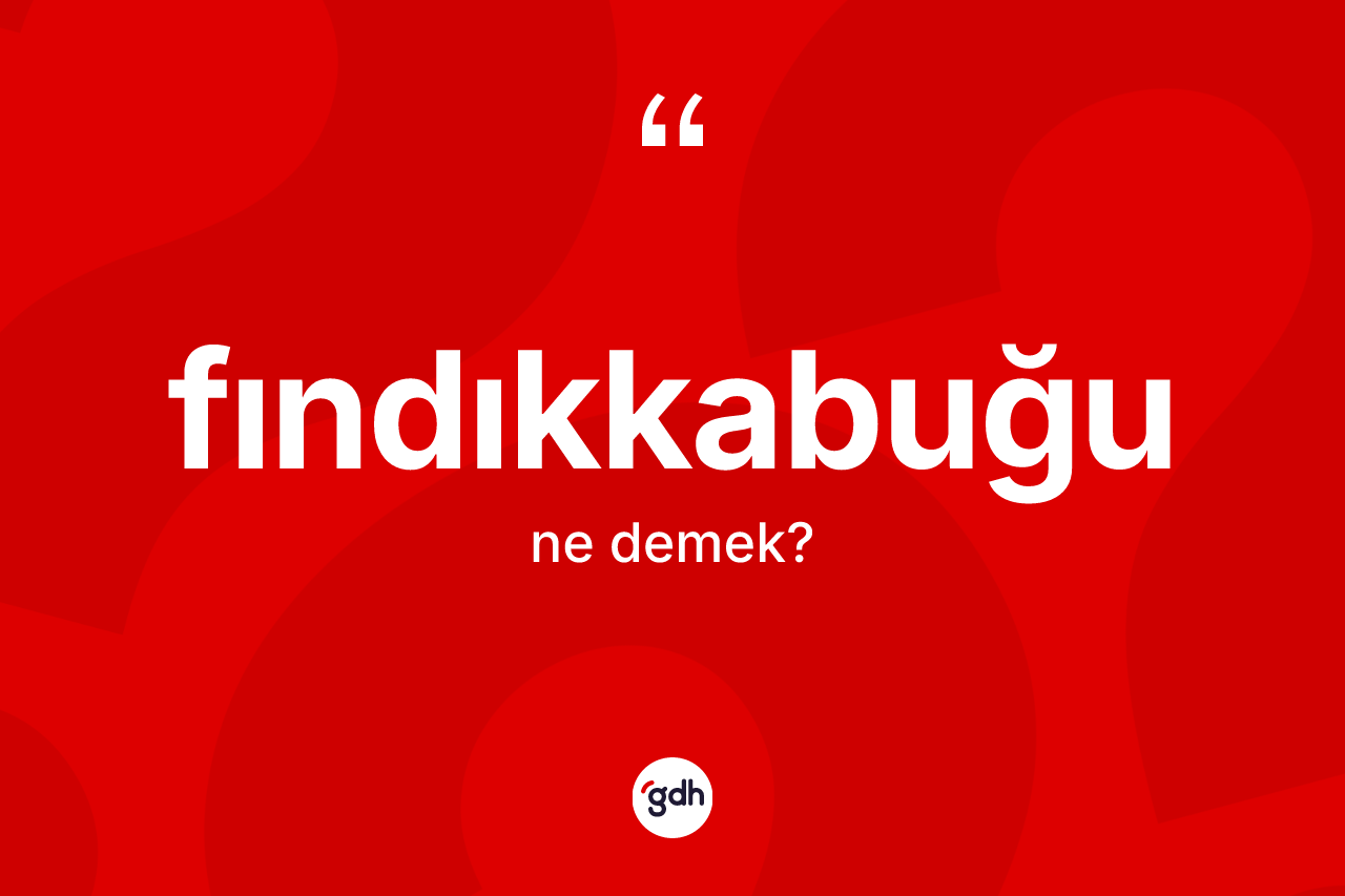Fındıkkabuğu kelimesi ne demek? Fındıkkabuğunun TDK'ya göre anlamı nedir?