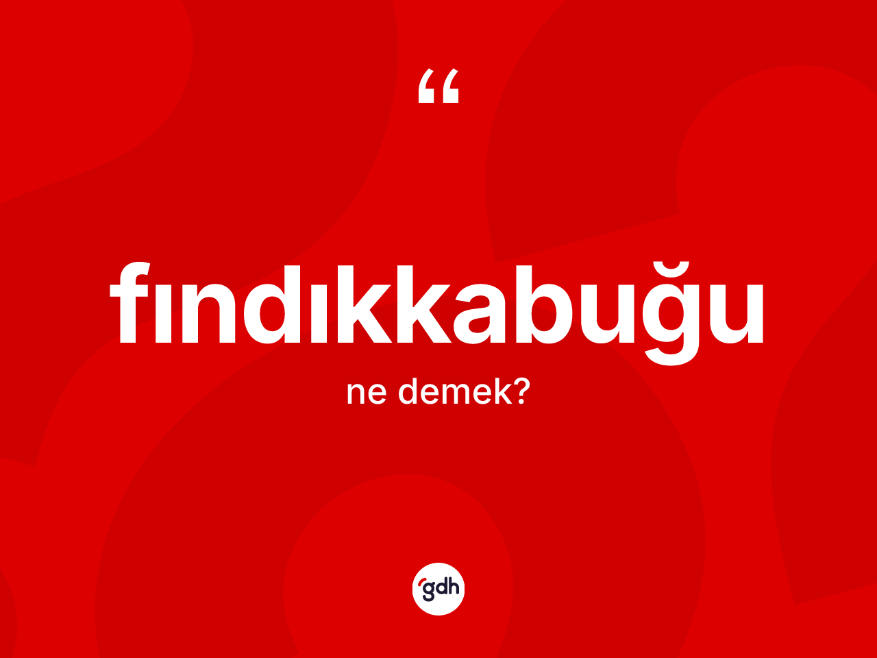 Fındıkkabuğu kelimesi ne demek? Fındıkkabuğunun TDK'ya göre anlamı nedir?