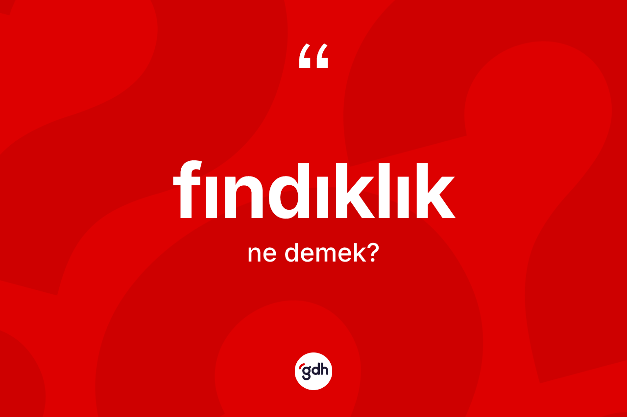 Fındıklık kelimesinin tanımı nedir? Fındıklığın TDK'ya göre anlamı nedir?