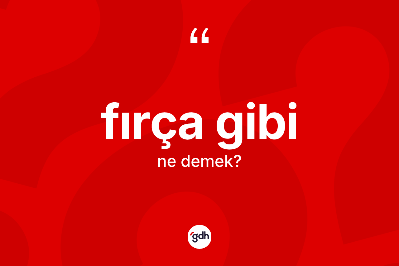 Fırça gibi ifadesinin kısaca tanımı nedir? Fırça gibi sözü nerede kullanılır?