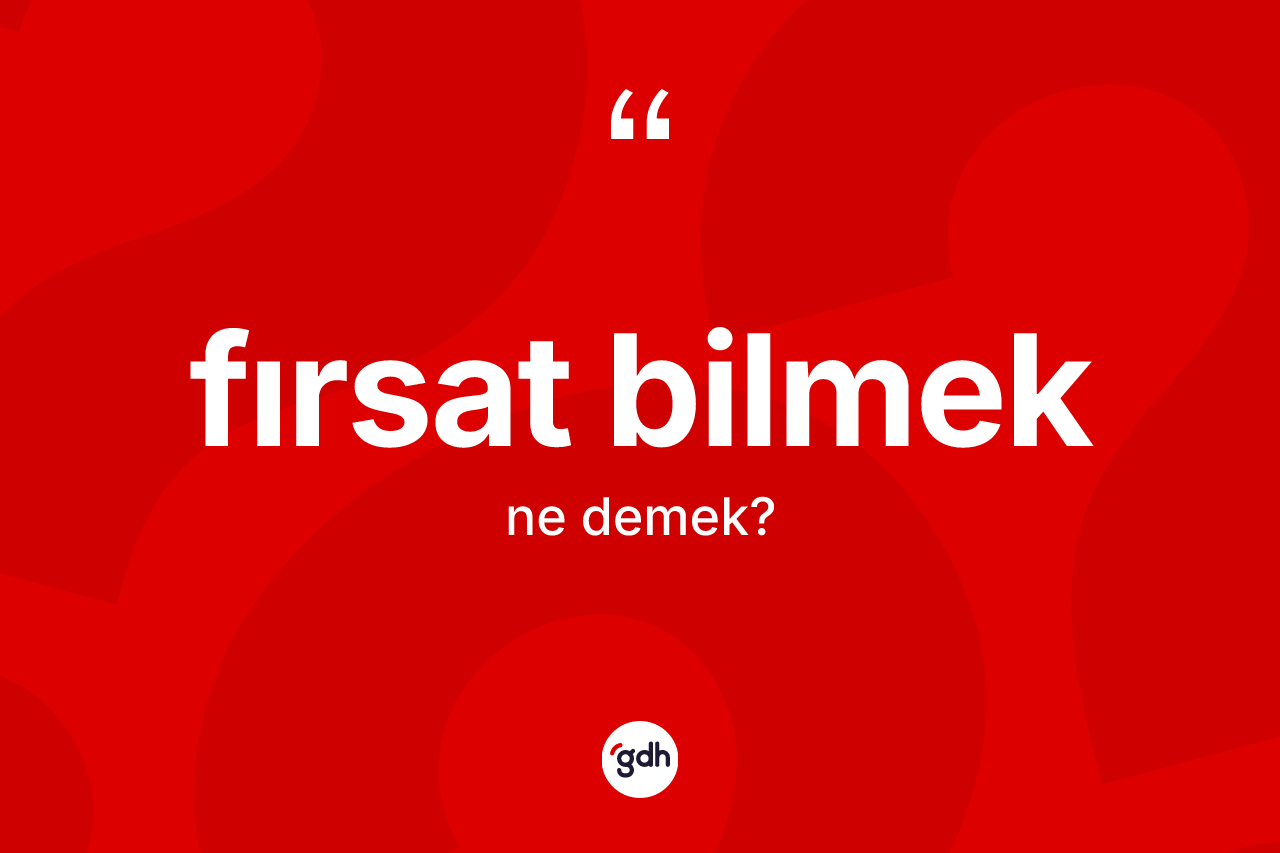 Fırsat bilmek ifadesinin kısaca tanımı nedir? Fırsat bilmek ifadesinin TDK'ya göre açıklaması nedir?