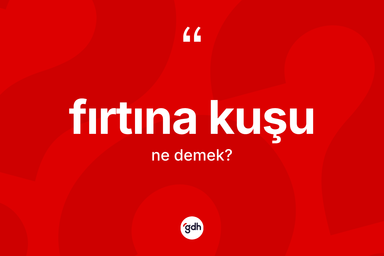 Fırtına kuşu kelimesinin anlamı nedir?