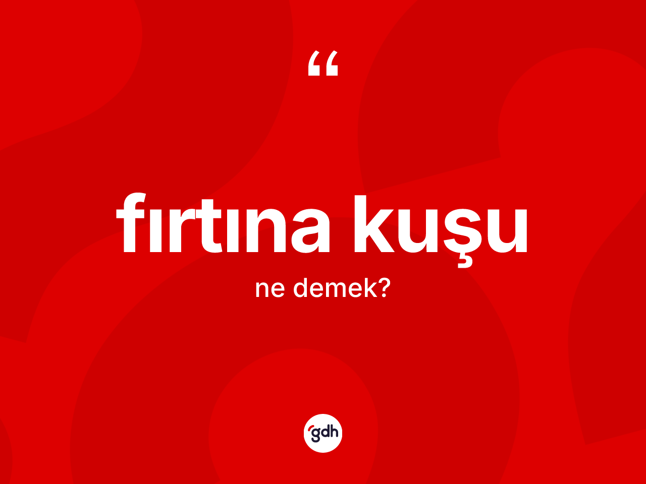 Fırtına kuşu kelimesinin anlamı nedir? Fırtına kuşunun TDK'ya göre anlamı nedir?