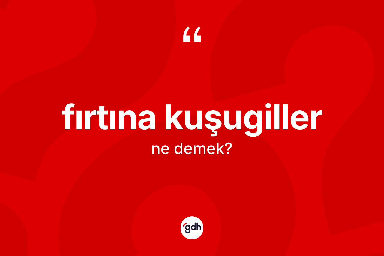 Fırtına kuşugiller kelimesinin tanımı nedir? Fırtına kuşugiller kelimesinin TDK'ya göre açıklaması nedir?