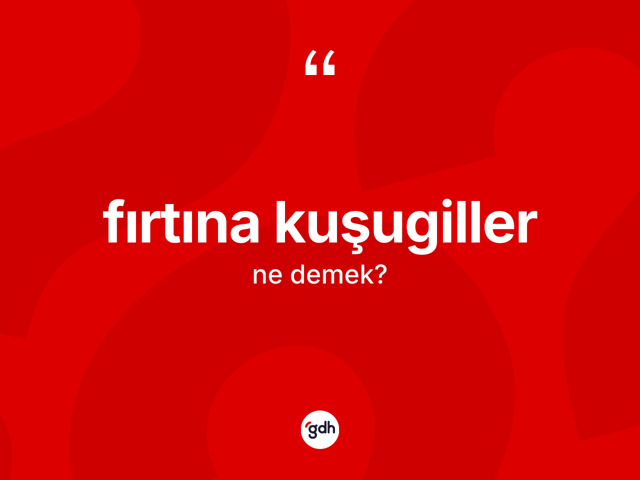 Fırtına kuşugiller kelimesinin tanımı nedir? Fırtına kuşugiller kelimesinin TDK'ya göre açıklaması nedir?