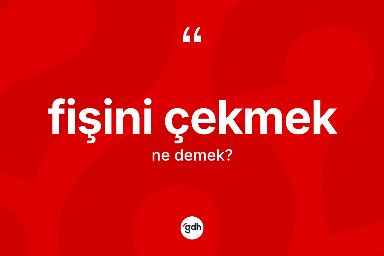 Fişini çekmek nedir? Fişini çekmek sözünün TDK açıklaması nedir?