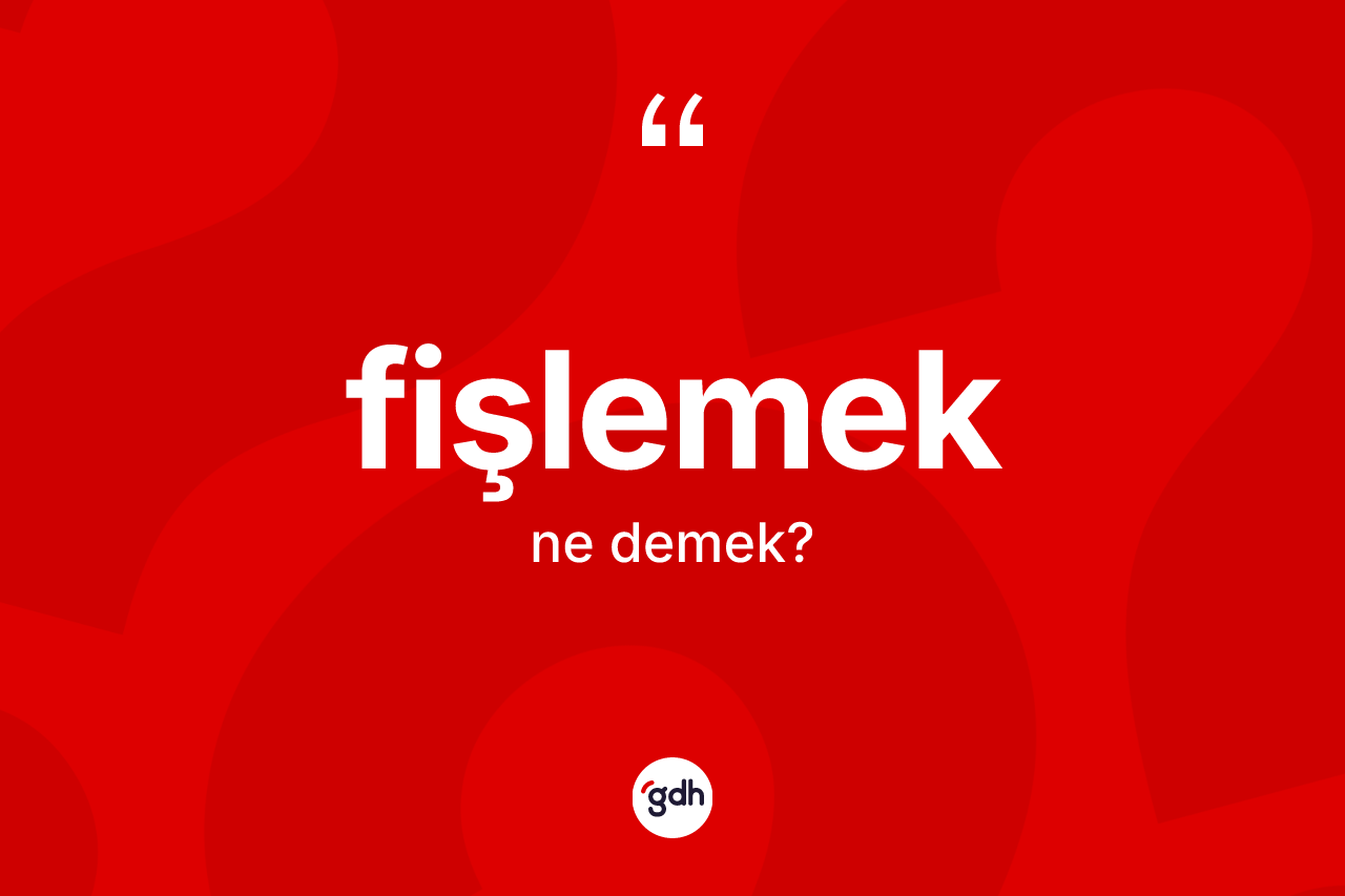 Fişlemek ne demek?
