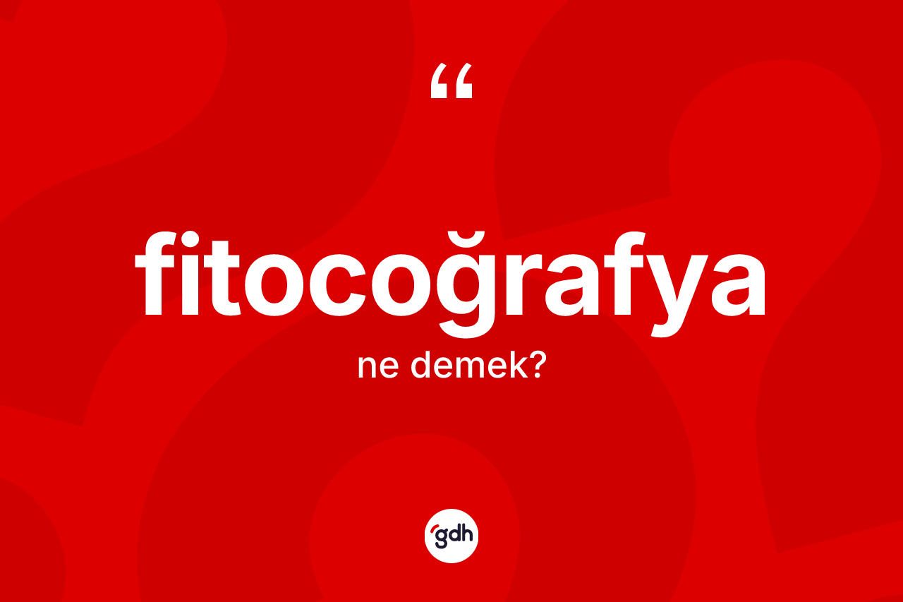 Fitocoğrafya kelimesi nedir?