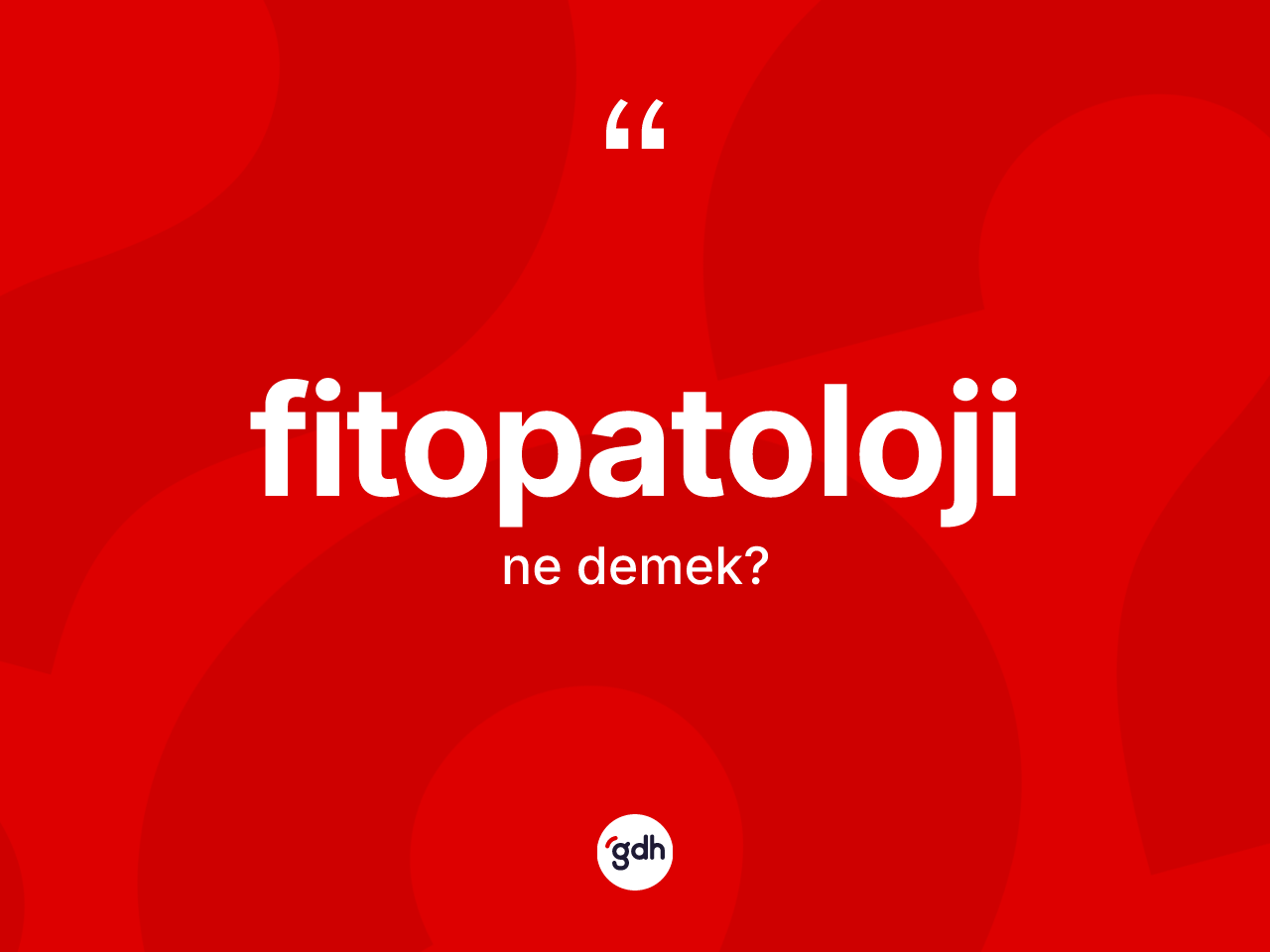 Fitopatoloji kelimesi ne demek? Fitopatolojinin TDK'ya göre anlamı nedir?