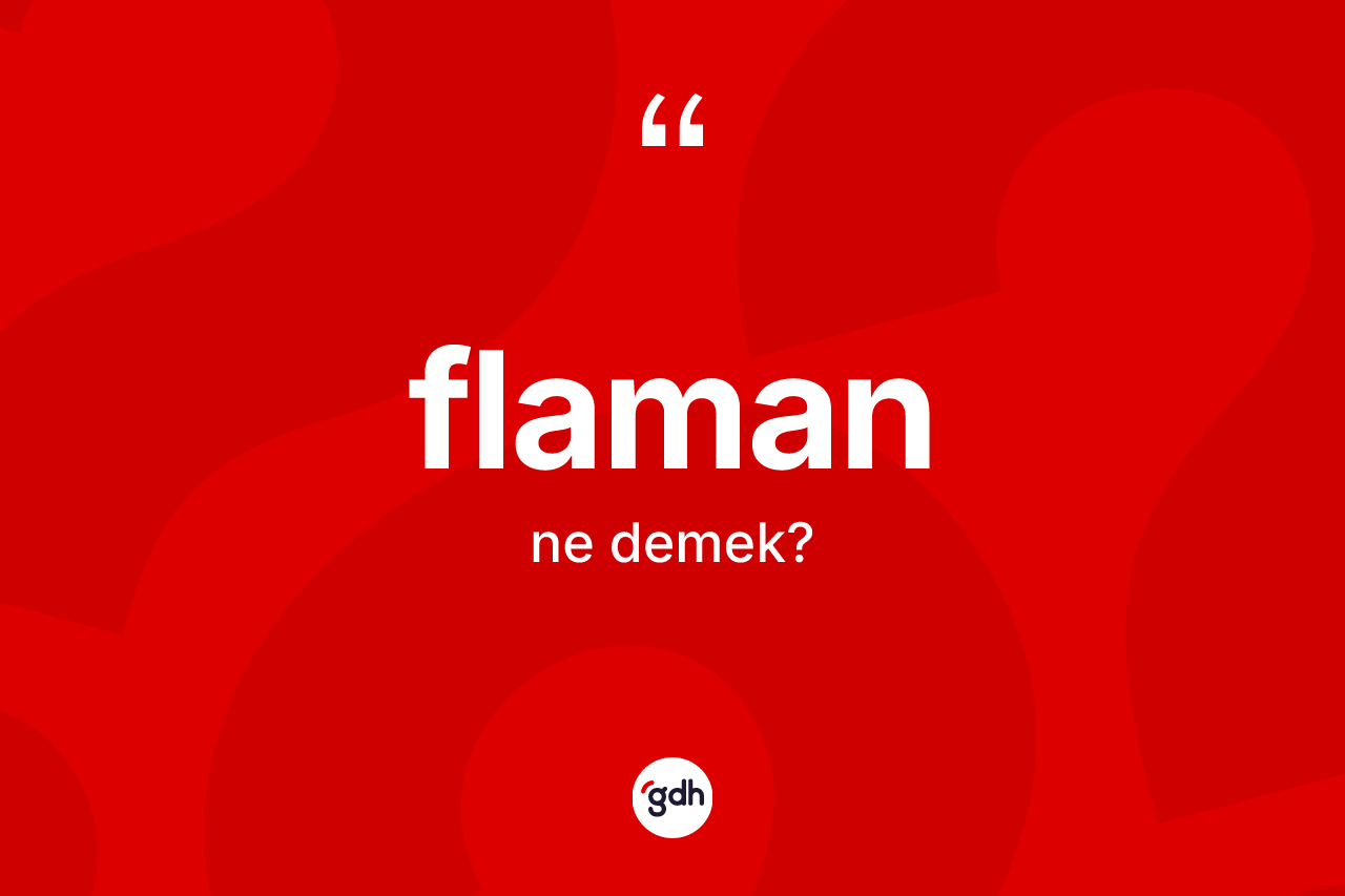 Flaman kelimesi ne anlama gelir? Flaman kelimesinin TDK anlamı nedir?