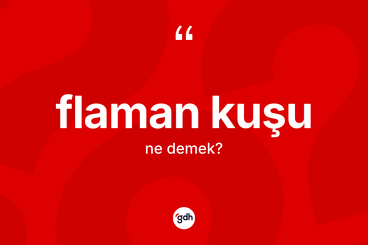 Flaman kuşu kelimesinin sözlükteki tanımı nedir? Flaman kuşunun TDK'ya göre anlamı nedir?