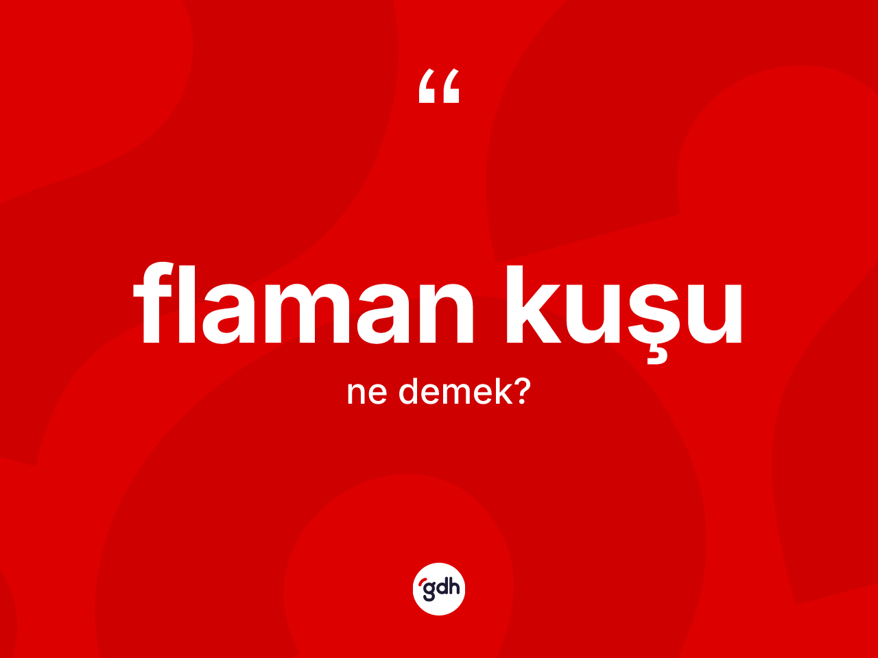 Flaman kuşu kelimesinin sözlükteki tanımı nedir? Flaman kuşunun TDK'ya göre anlamı nedir?
