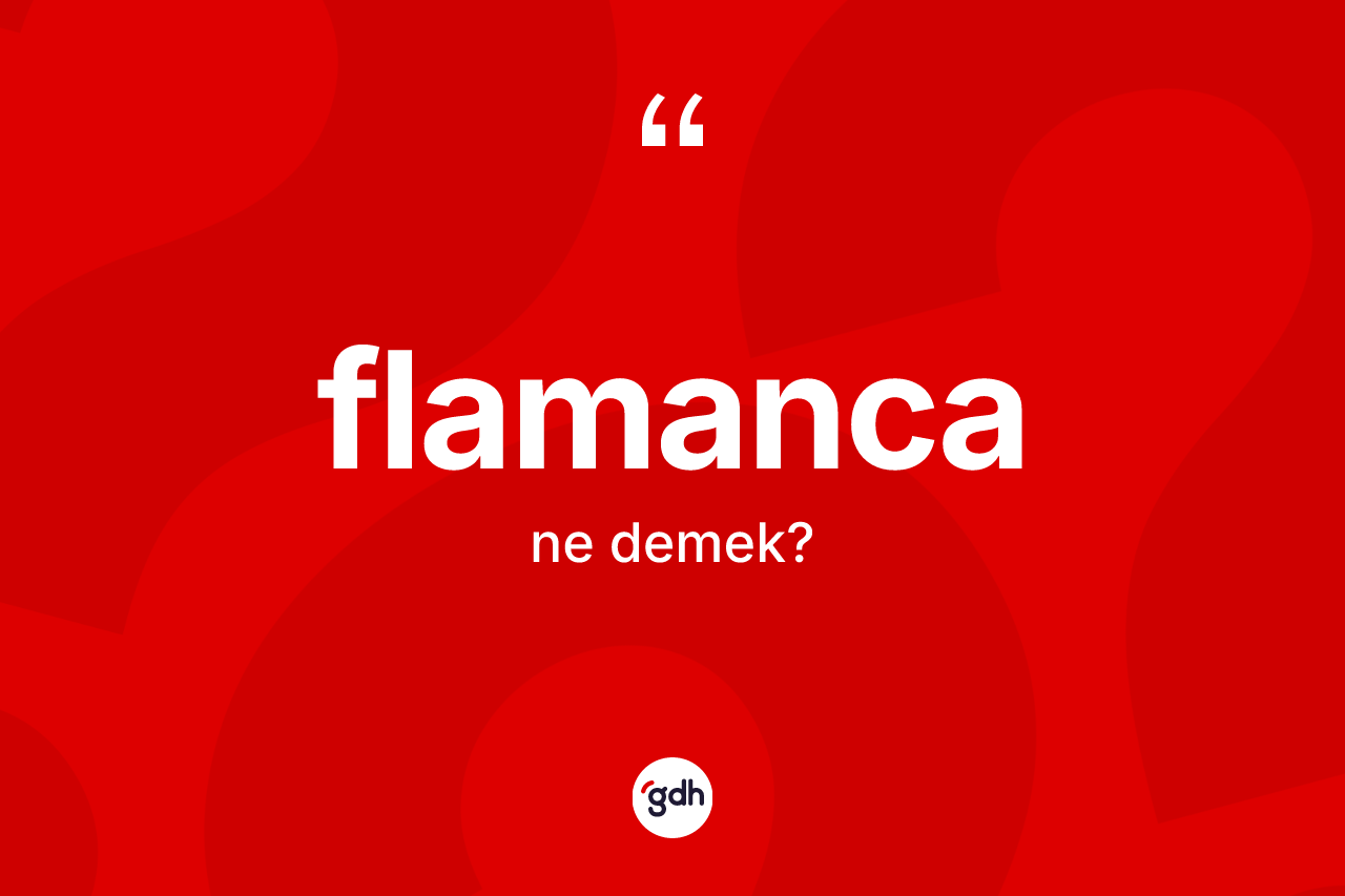 Flamanca kelimesi ne demek? Flamanca'nın TDK'ya göre anlamı nedir?