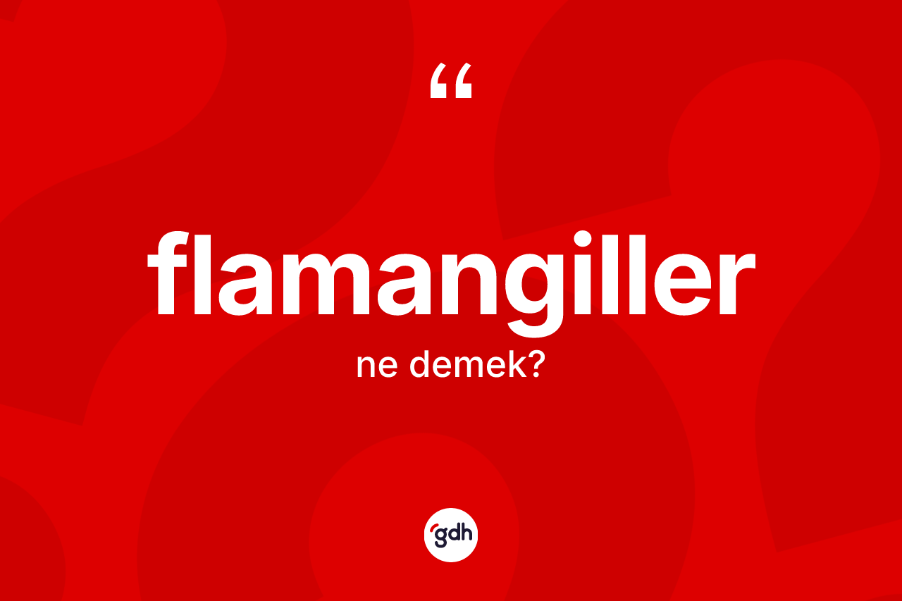 Flamangiller kelimesi ne anlama gelir? Flamangillerin TDK'ya göre anlamı nedir?
