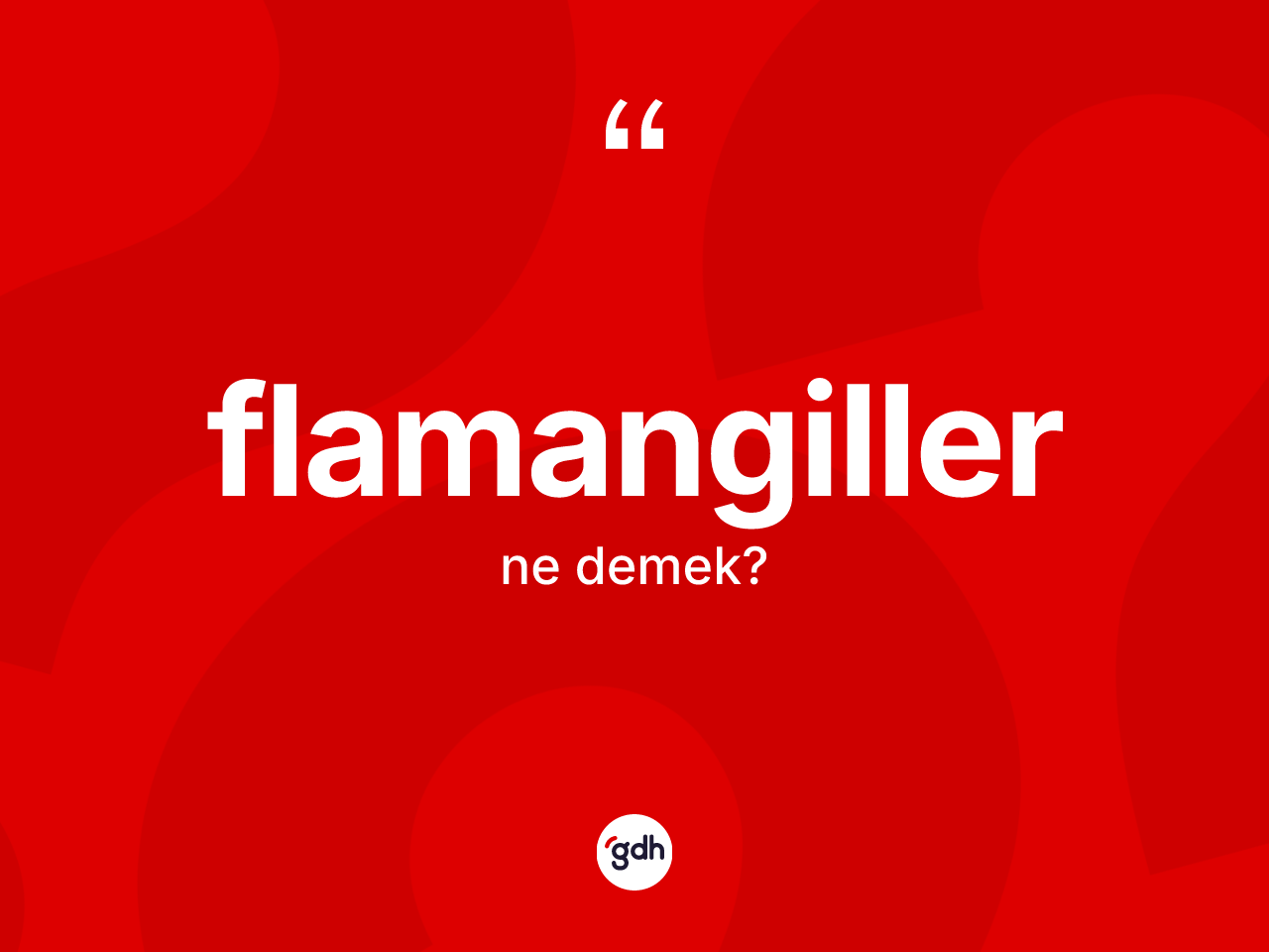 Flamangiller kelimesi ne anlama gelir? Flamangillerin TDK'ya göre anlamı nedir?
