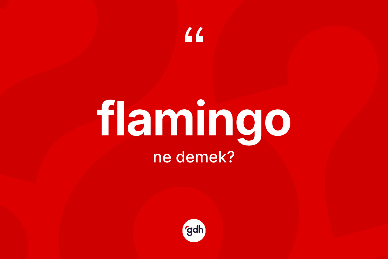 Flamingo kelimesi ne demek? Flamingonun kısaca tanımı nedir?