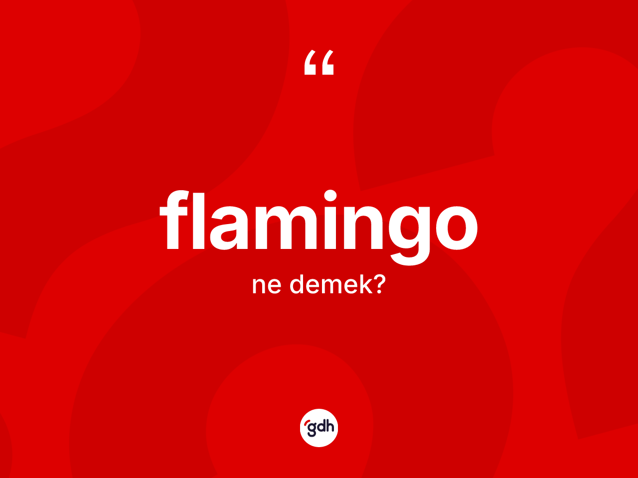 Flamingo kelimesi ne demek? Flamingonun kısaca tanımı nedir?