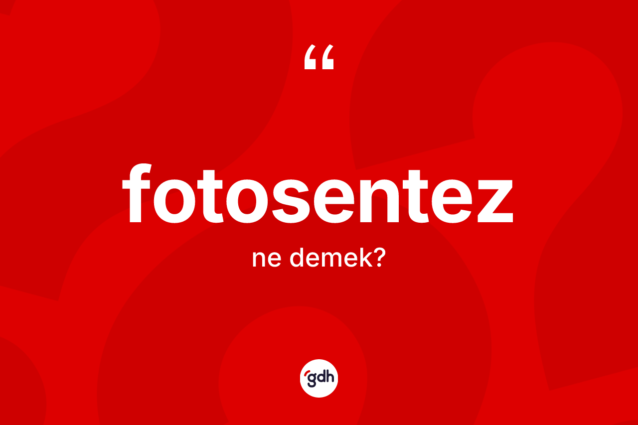 Fotosentez kelimesinin anlamı nedir?