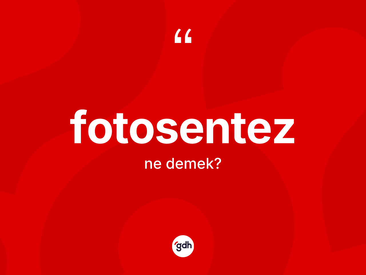 Fotosentez kelimesinin anlamı nedir? Fotosentezin TDK'ya göre anlamı nedir?