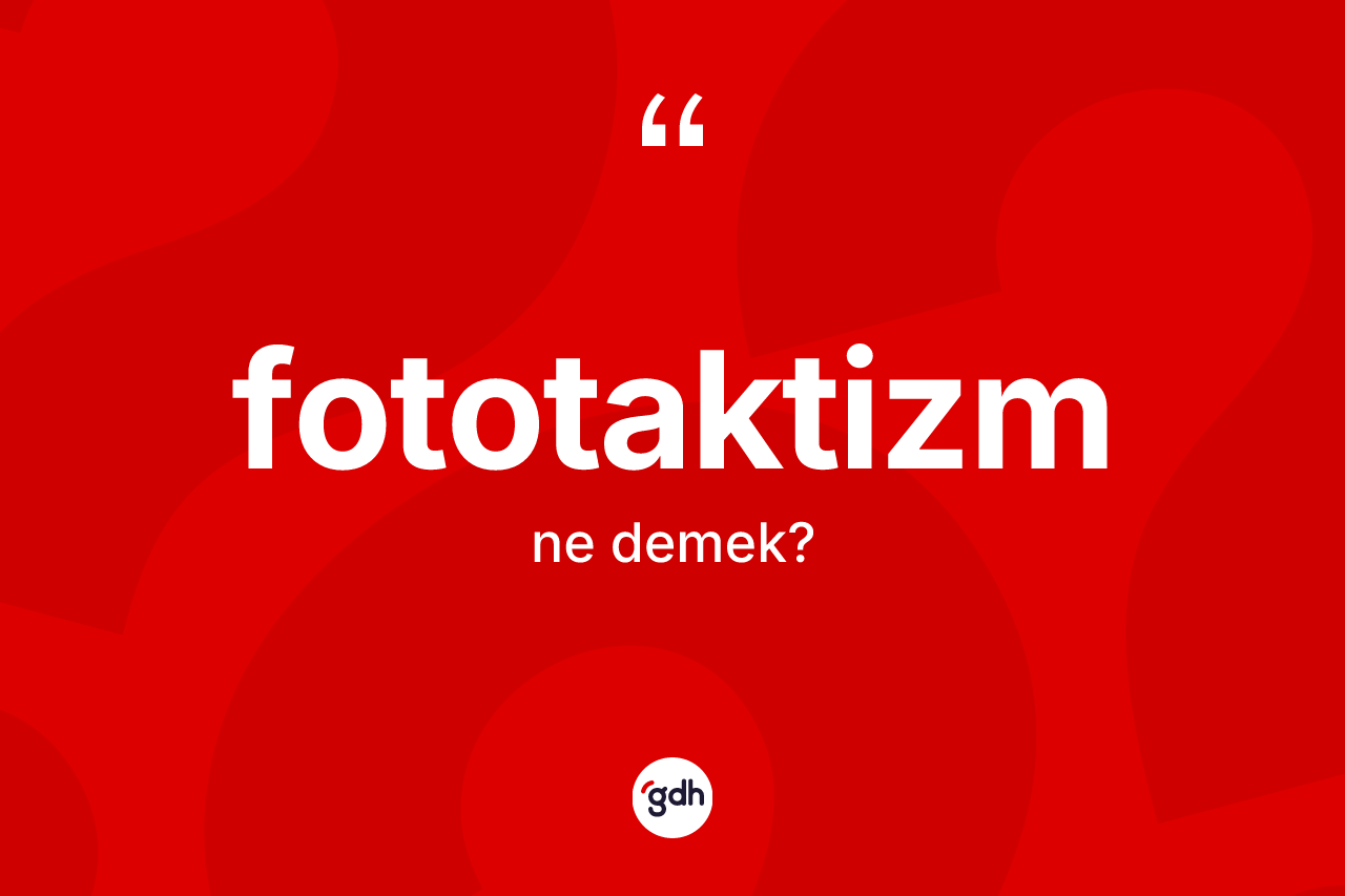 Fototaktizm kelimesinin anlamı nedir? Fototaktizmin TDK'ya göre anlamı nedir?