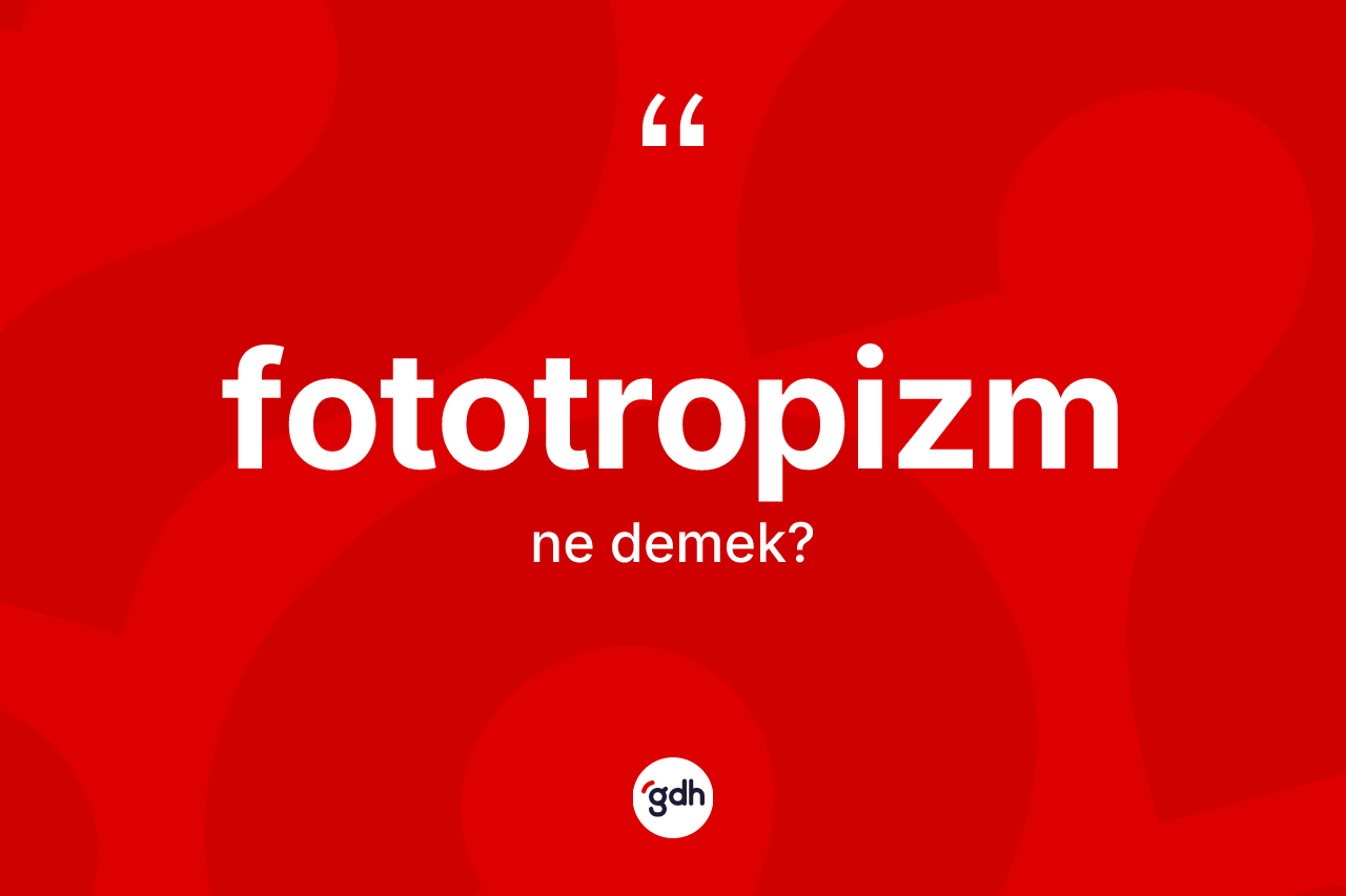 Fototropizm kelimesi ne anlama gelir? Fototropizm kelimesinin kaç farklı anlamı var?