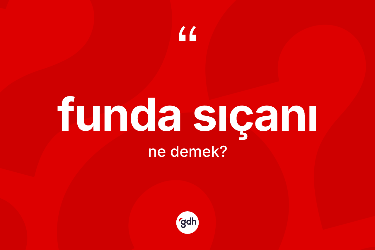 Funda sıçanı kelimesinin sözlükteki tanımı nedir? Funda sıçanının halk arasındaki kullanımı nasıldır?