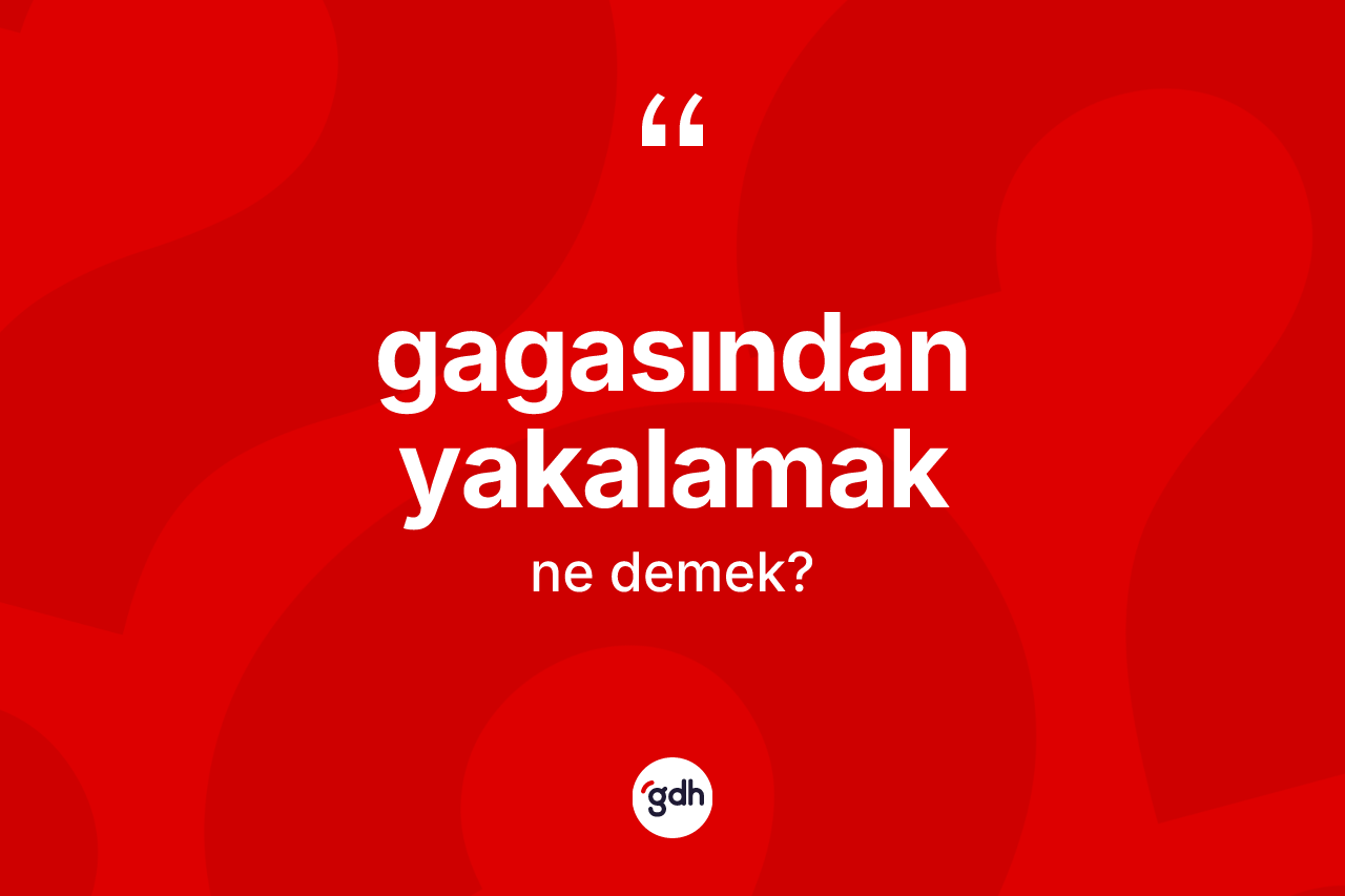 Gagasından yakalamak sözü neyi anlatır? Gagasından yakalamak ifadesinin özellikleri nelerdir?