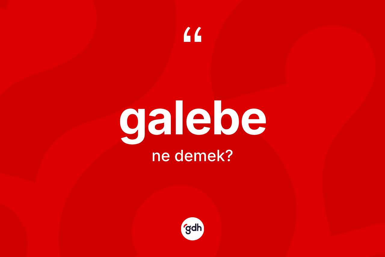 Galebe kelimesi nedir?