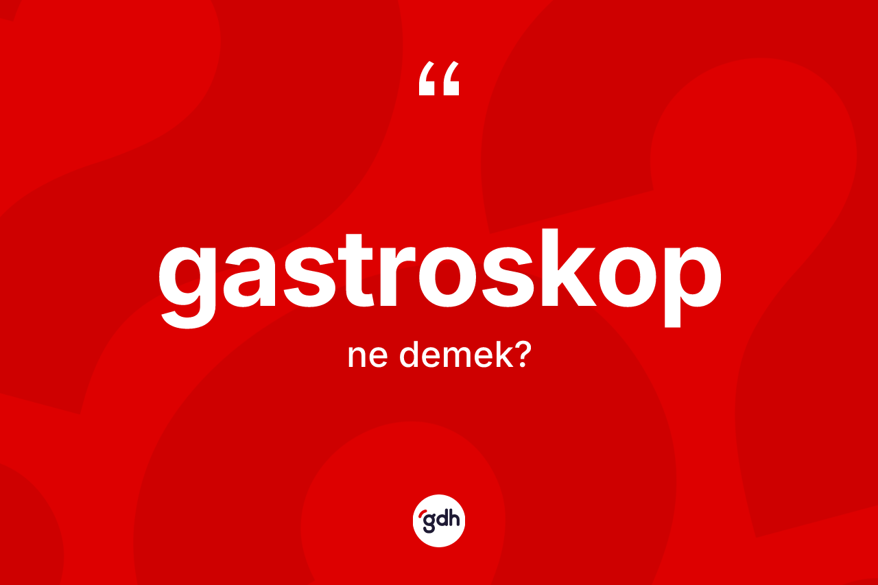 Gastroskop kelimesinin tanımı nedir?