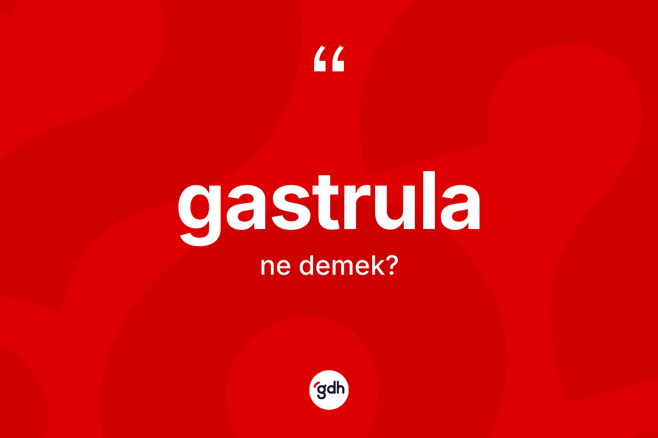 Gastrula kelimesinin anlamı nedir?