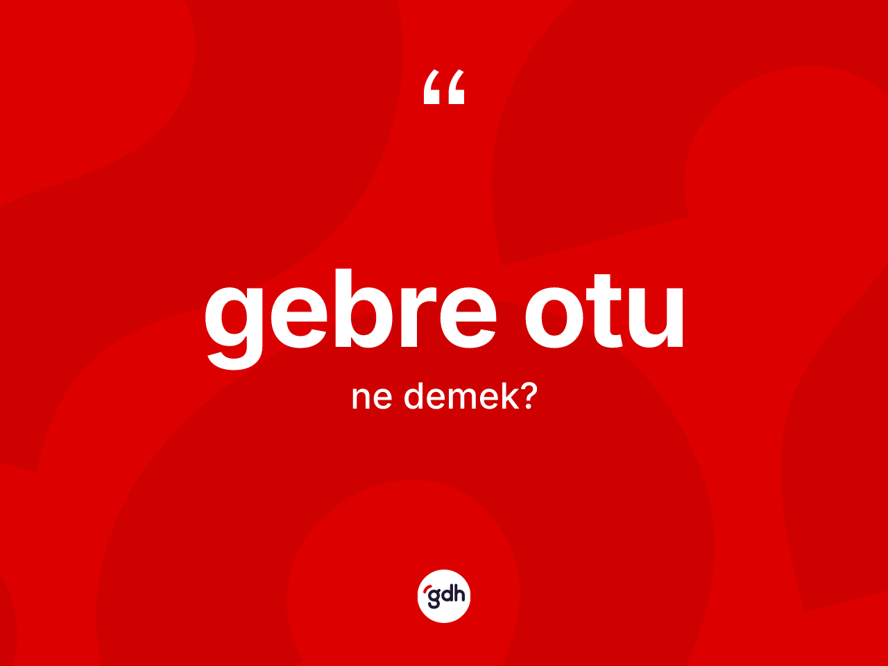 Gebre otu kelimesinin tanımı nedir? Gebre otu kelimesinin özellikleri nelerdir?