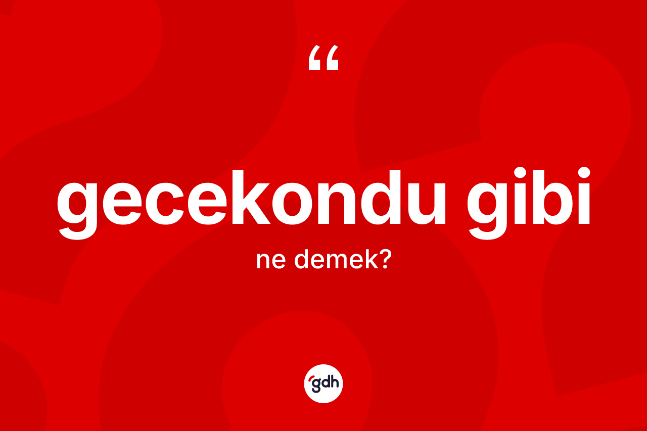 Gecekondu gibi ne anlama gelir?