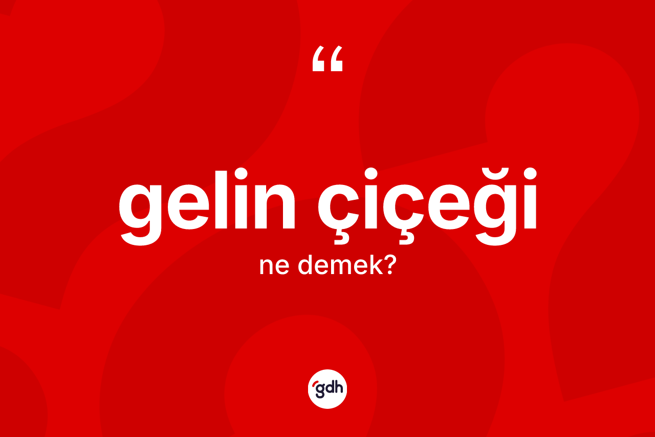 Gelin çiçeği kelimesinin sözlükteki tanımı nedir? Gelin çiçeğinin TDK'ya göre anlamı nedir?