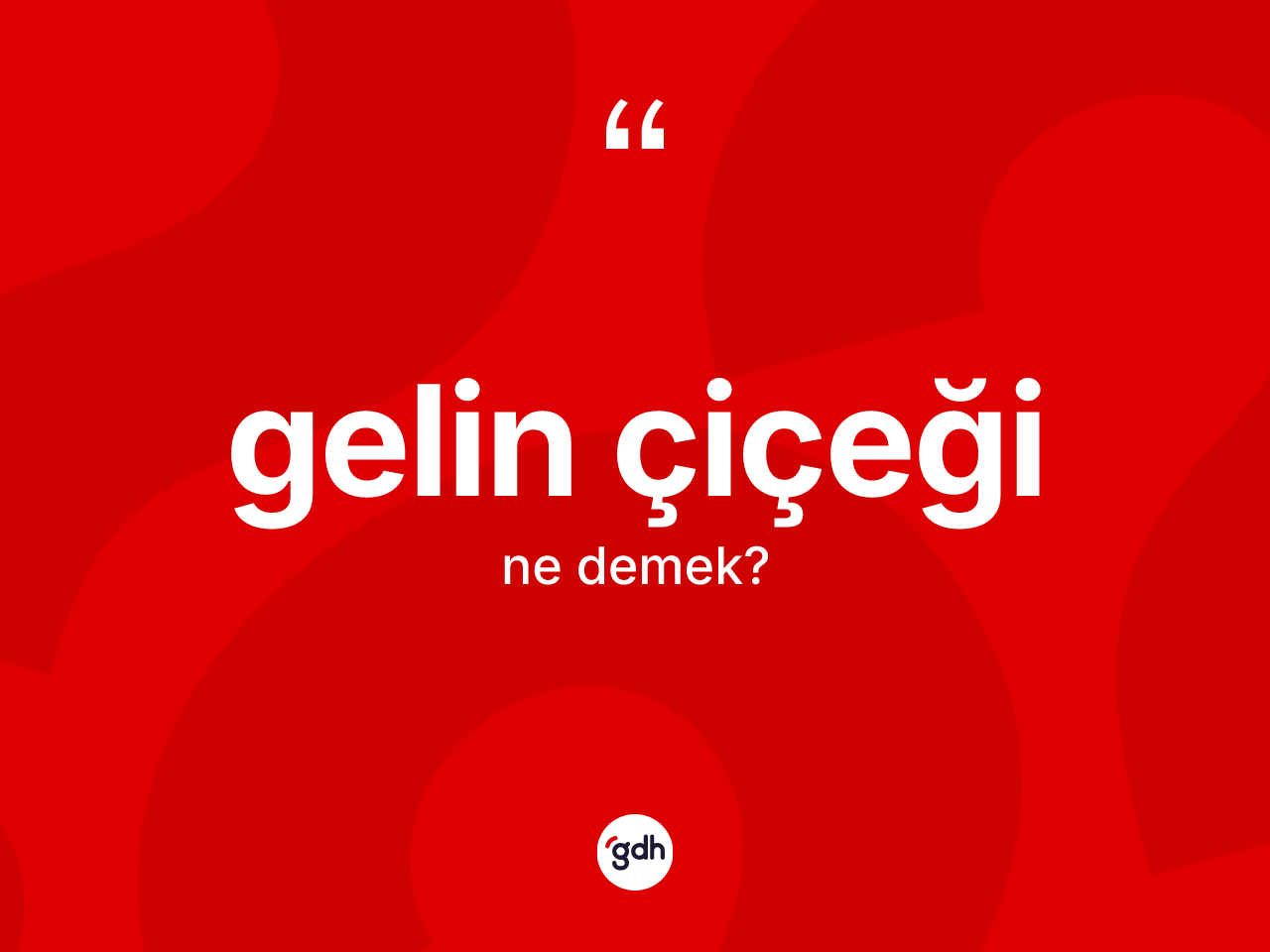 Gelin çiçeği kelimesinin sözlükteki tanımı nedir? Gelin çiçeğinin TDK'ya göre anlamı nedir?