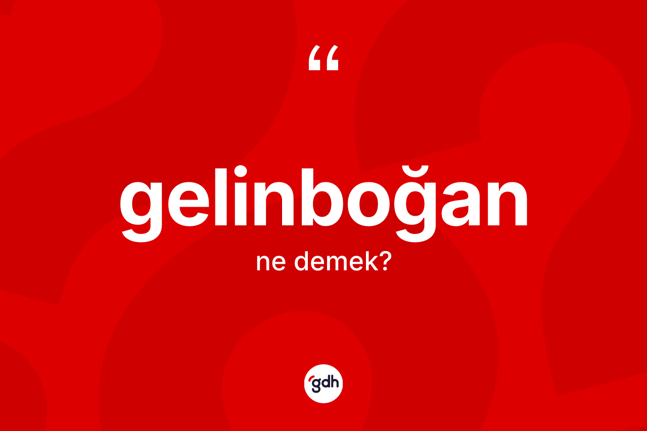 Gelinboğan kelimesinin tanımı nedir? Gelinboğanın TDK'ya göre anlamı nedir?