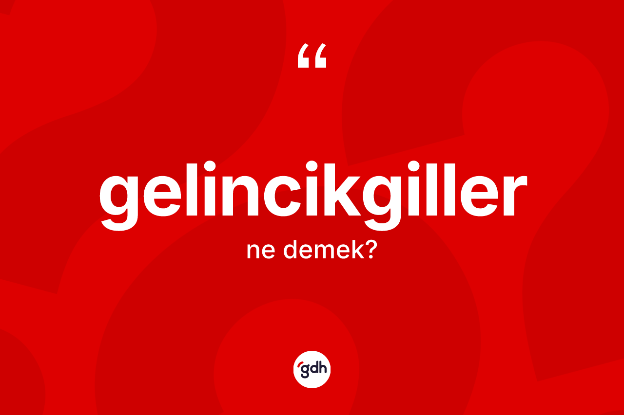 Gelincikgiller kelimesinin tanımı nedir? Gelincikgillerin sözlükteki anlamı nedir?