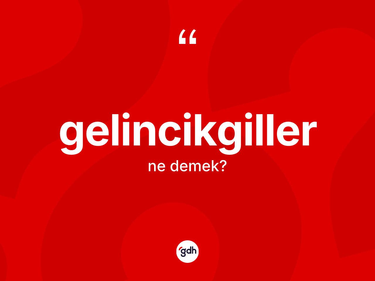 Gelincikgiller kelimesinin tanımı nedir? Gelincikgillerin sözlükteki anlamı nedir?