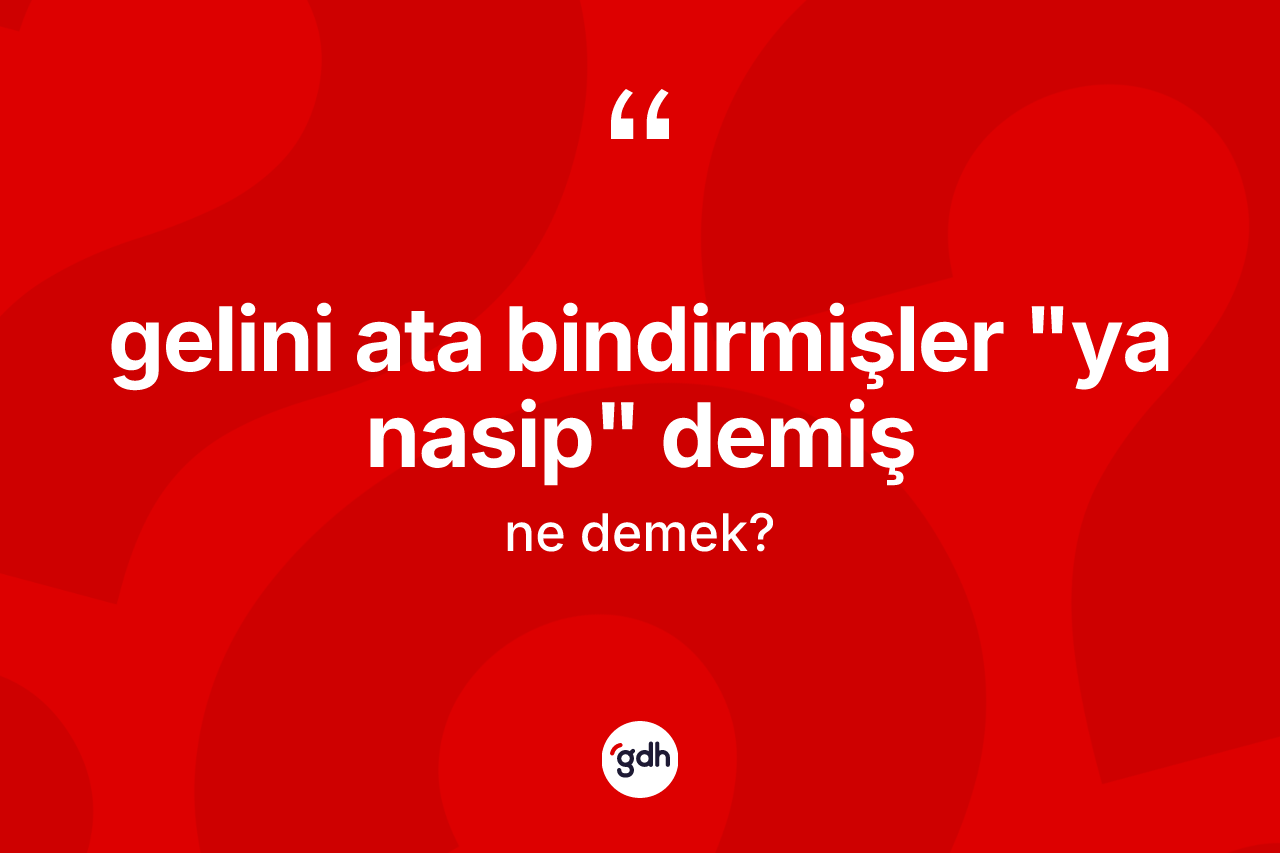 Gelini ata bindirmişler "ya nasip" demiş ne anlama gelir? Gelini ata bindirmişler "ya nasip" demiş ifadesi nerede kullanılır?