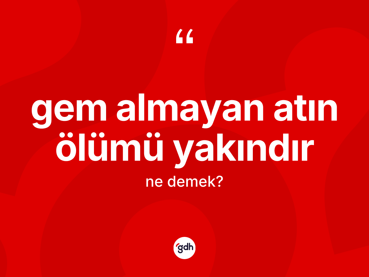 Gem almayan atın ölümü yakındır ne demektir? Gem almayan atın ölümü yakındır ifadesinin kaç farklı anlamı var?