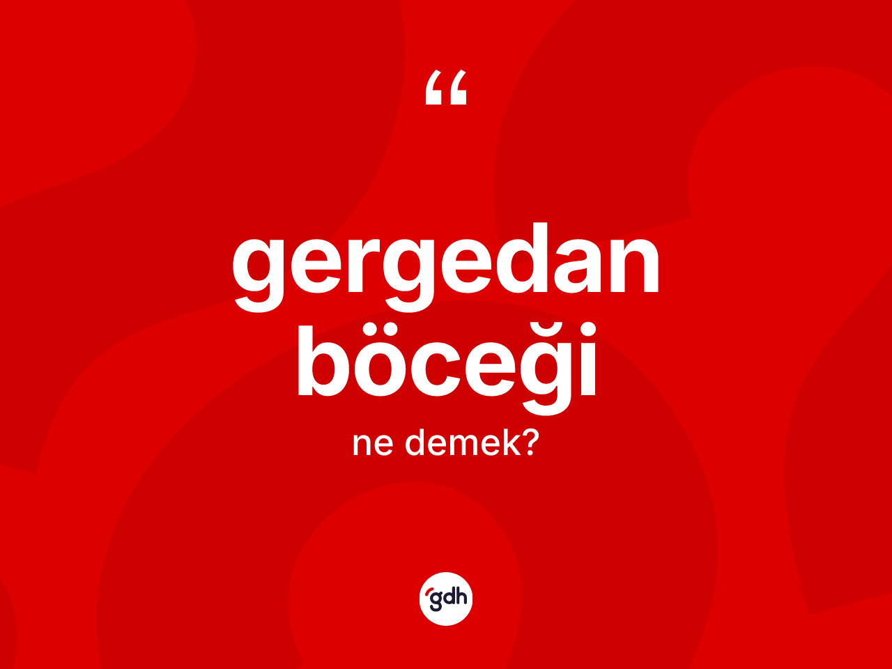 Gergedan böceği kelimesinin tanımı nedir? Gergedan böceğinin TDK'ya göre anlamı nedir?
