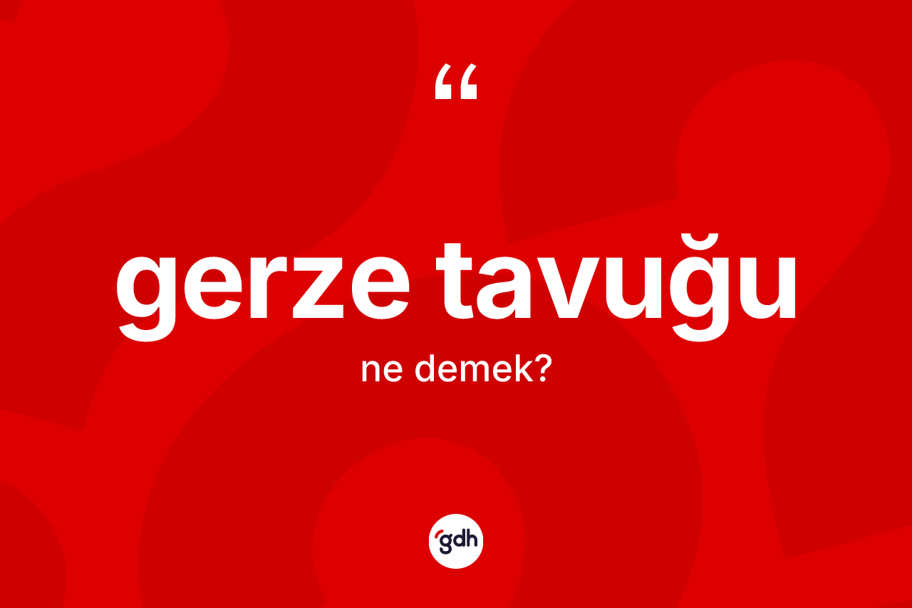 Gerze tavuğu ne anlama gelir?